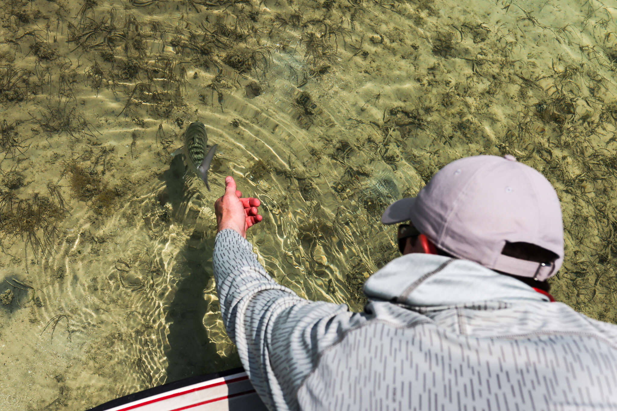 Abaco Lodge - Image 22