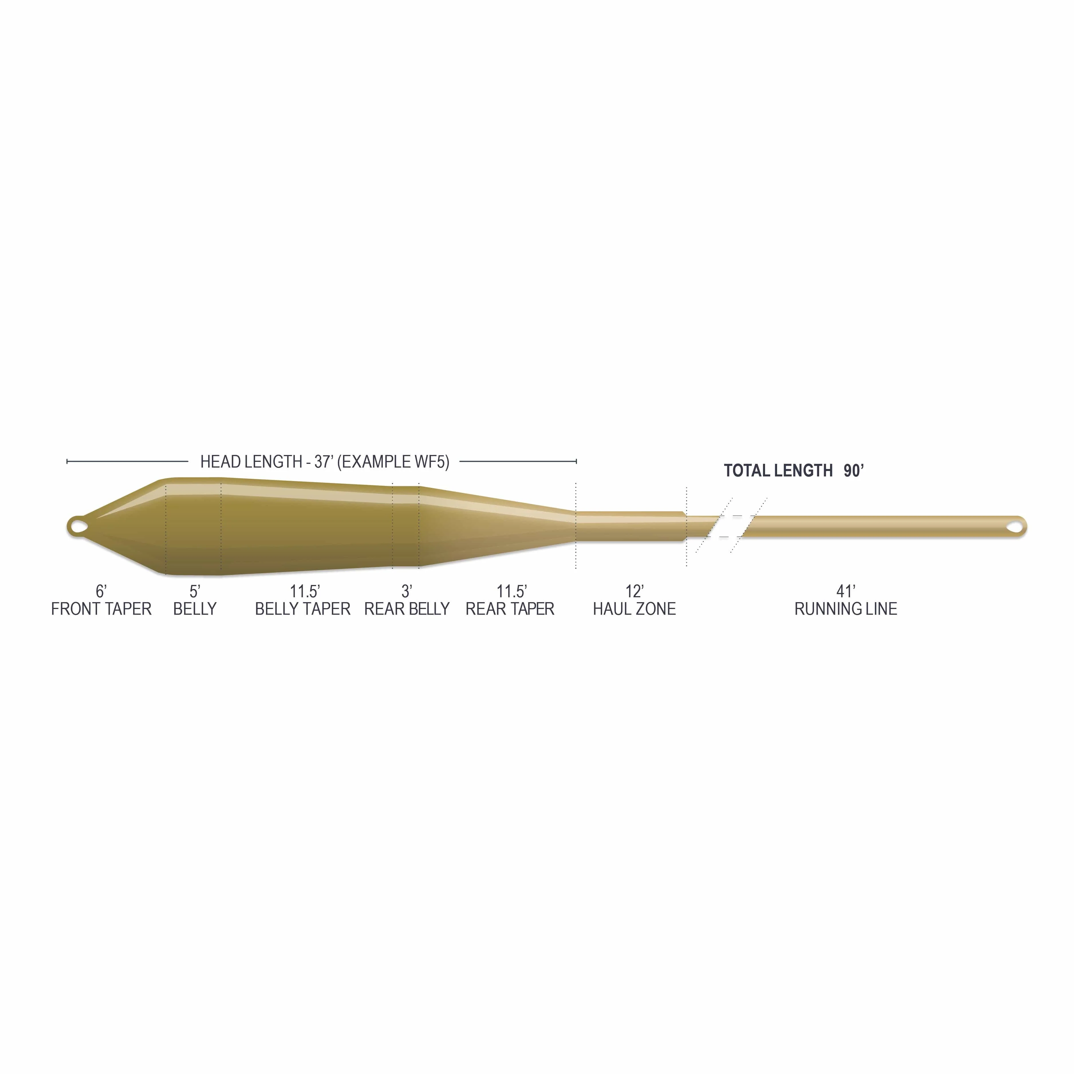 Airflo Superflo Max Ridge 2.0 Power Taper Fly Line - Image 5