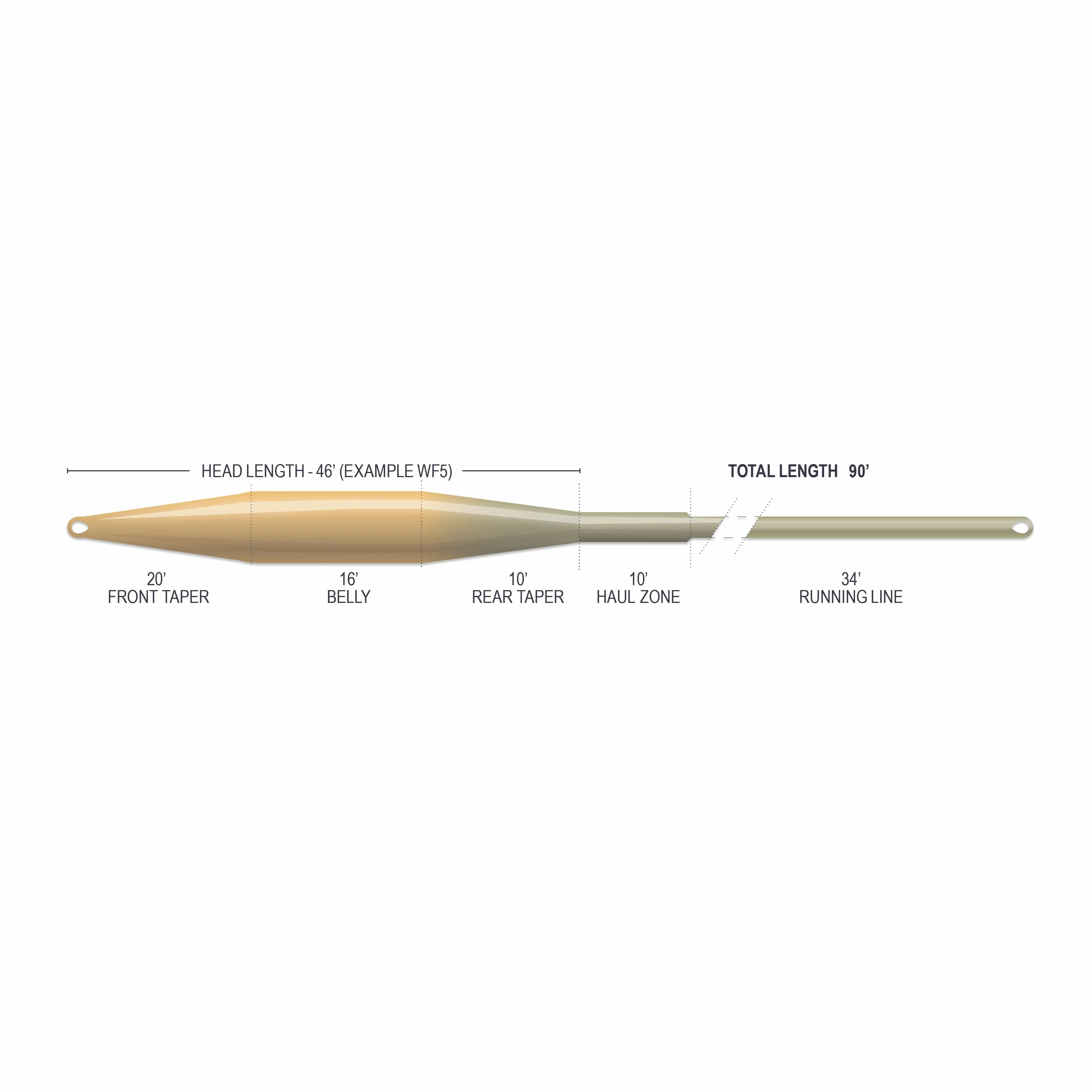 Airflo Superflo Max Ridge 2.0 Tactical Taper Fly Line - Image 6