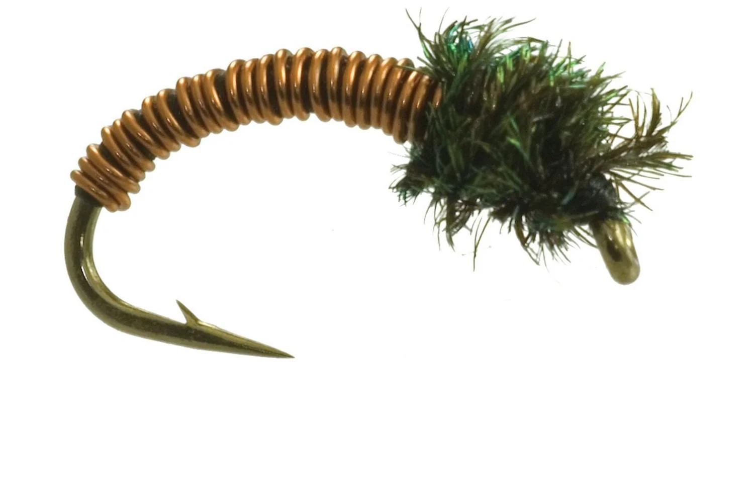 Brassie Fly