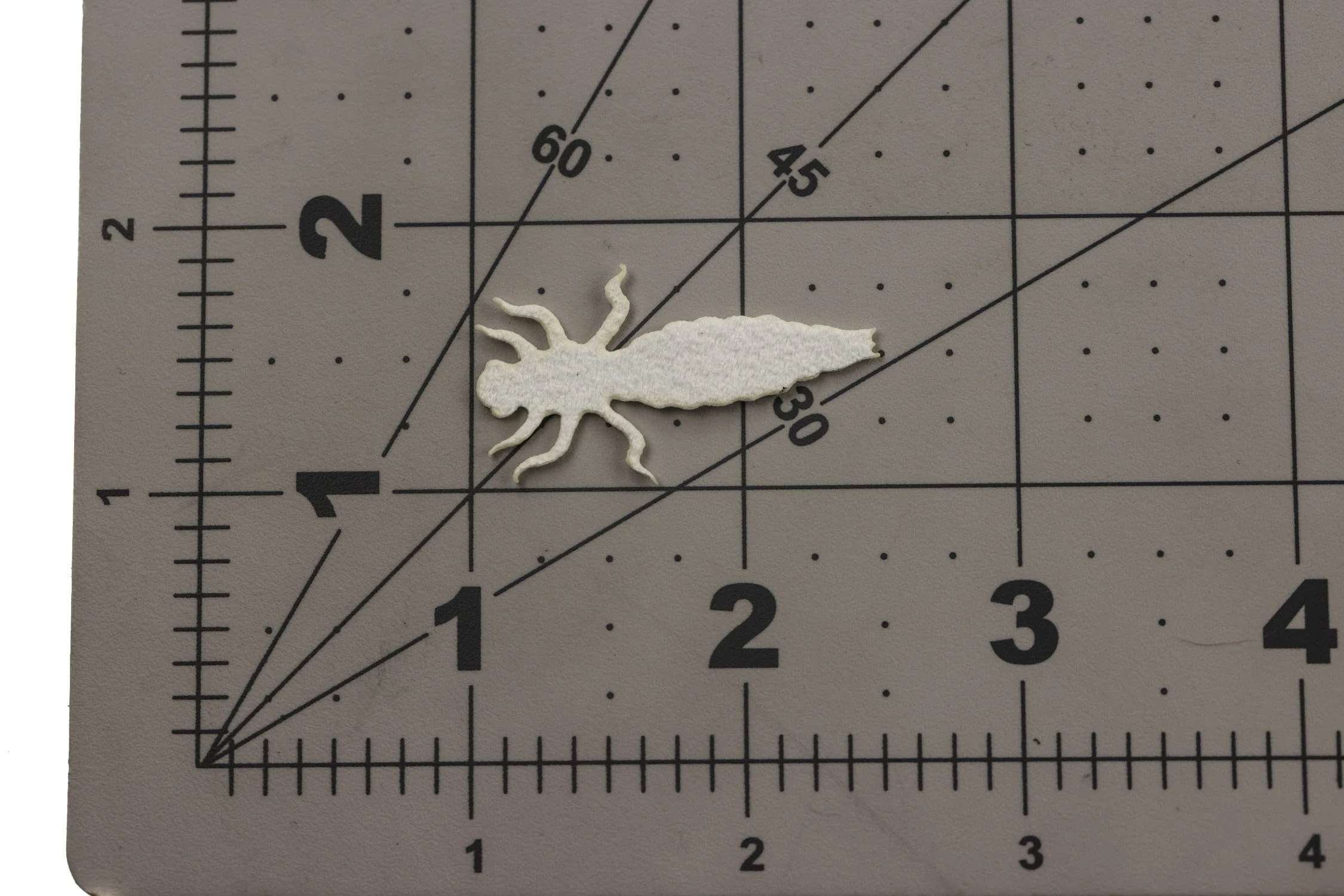 Cohen's Dragonfly Nymph Body - Image 4