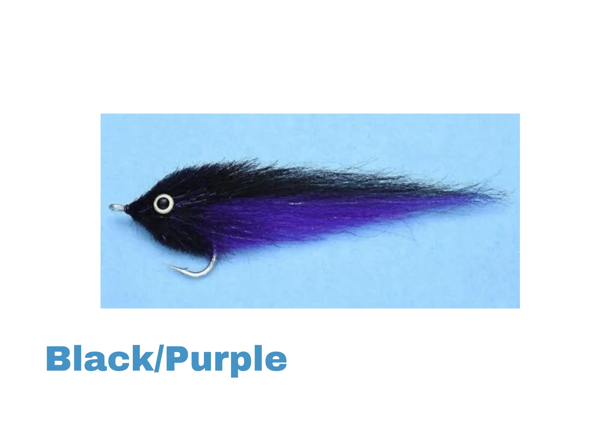 EP GT Fly - Image 3