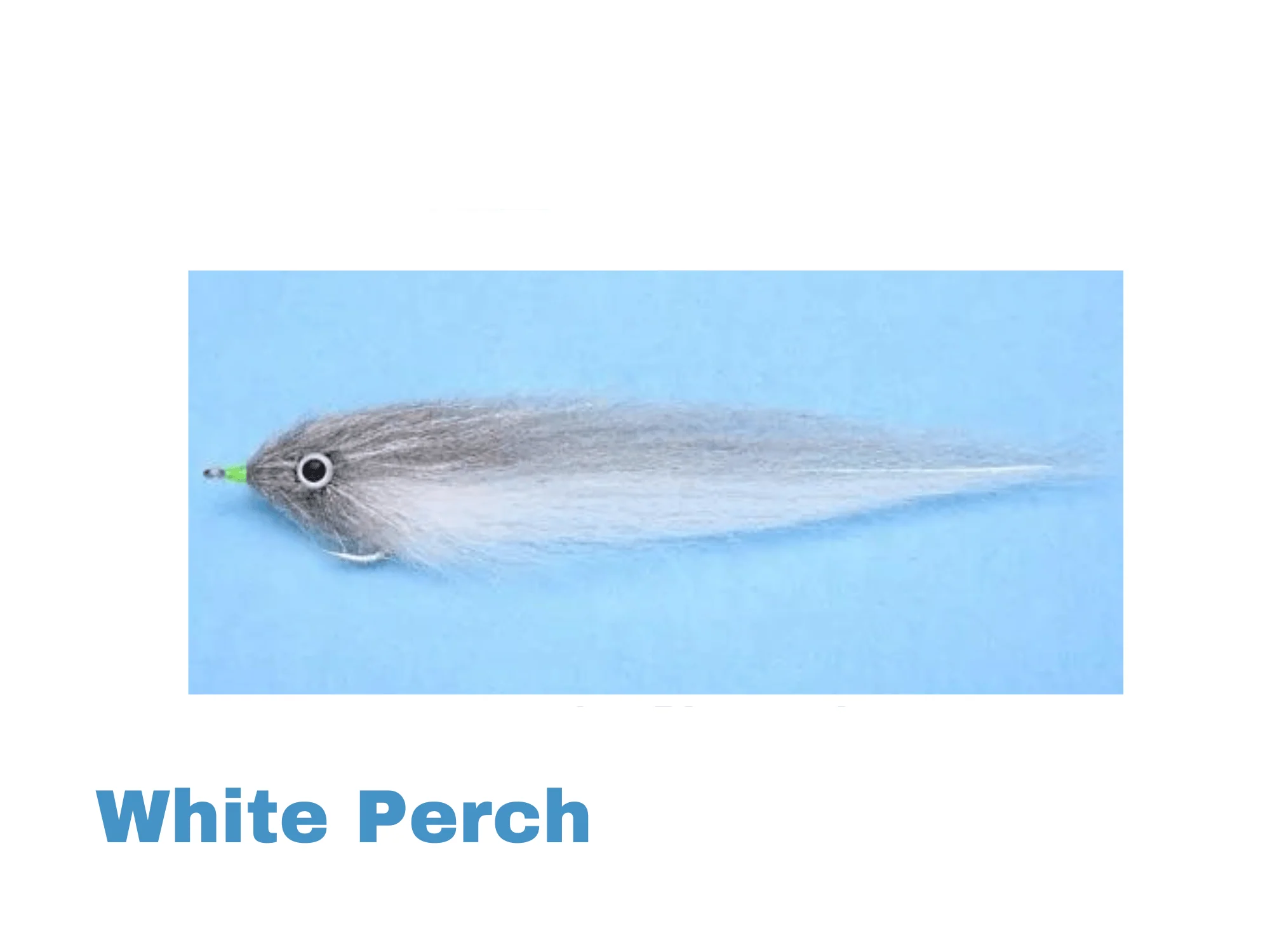 EP Pike/Offshore Fly - Image 6