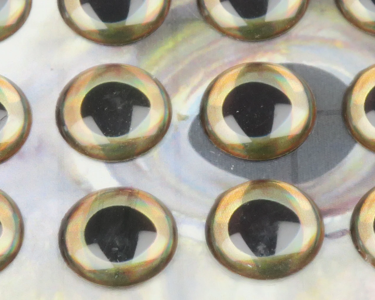 Fish-Skull Living Eyes - Image 10
