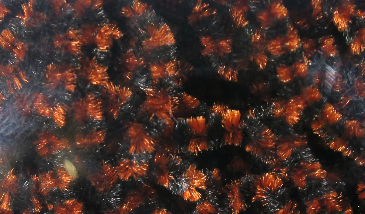Fly Fish Food Stonefly Chenille - Image 13