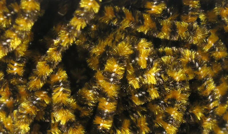 Fly Fish Food Stonefly Chenille - Image 16