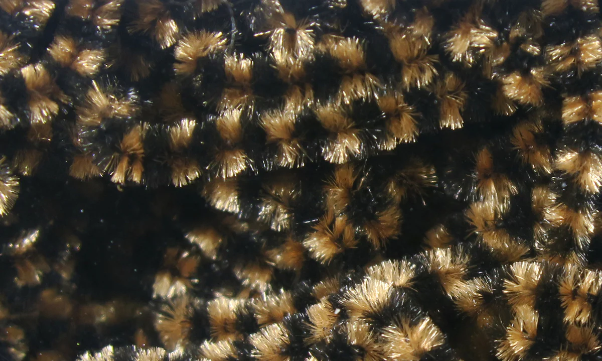 Fly Fish Food Stonefly Chenille - Image 8
