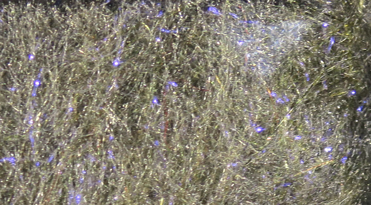 Fly Fish Food's Bruiser Blend Dubbing - Image 8