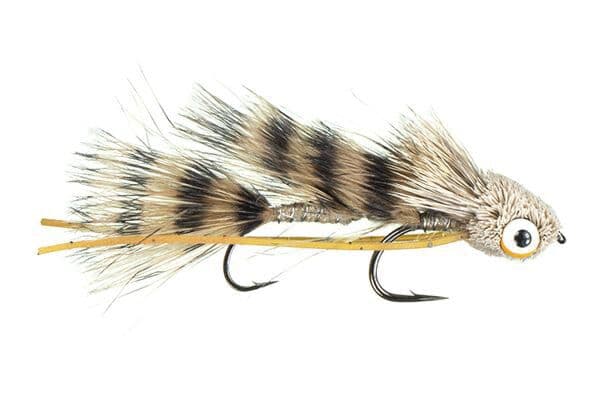Galloup's Barred Micro Dungeon Fly - Image 7