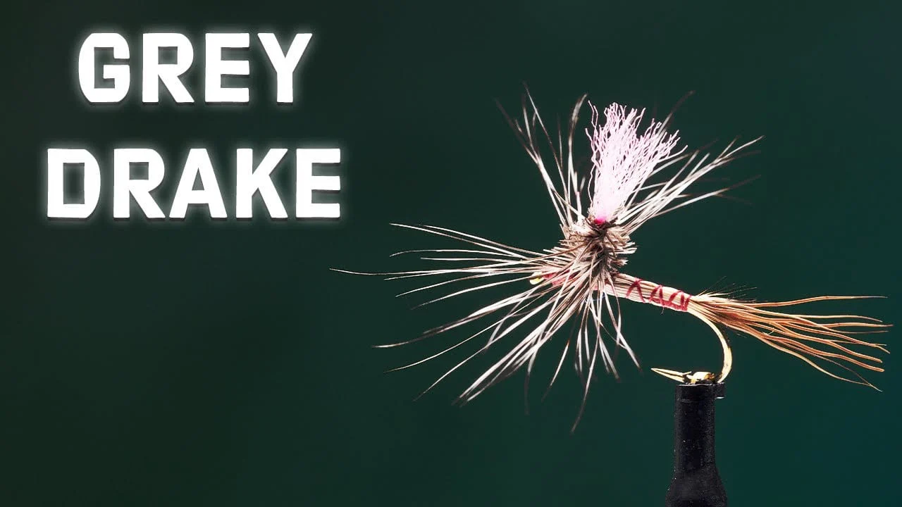 Grey Drake Spinner Dry Fly Tying Video Material Kit