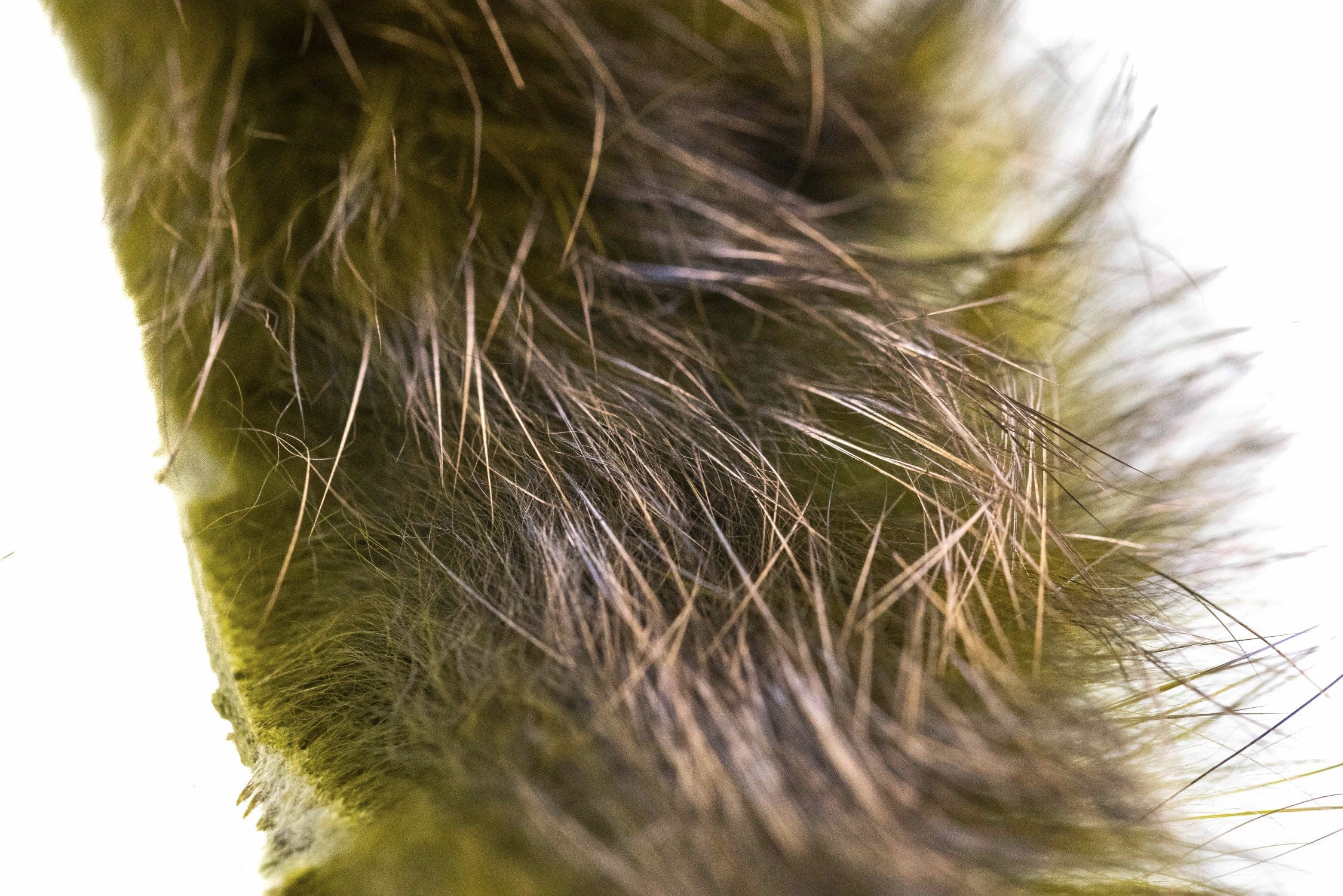 Hareline Crosscut Shimmer Rabbit Fur Strips - Image 4