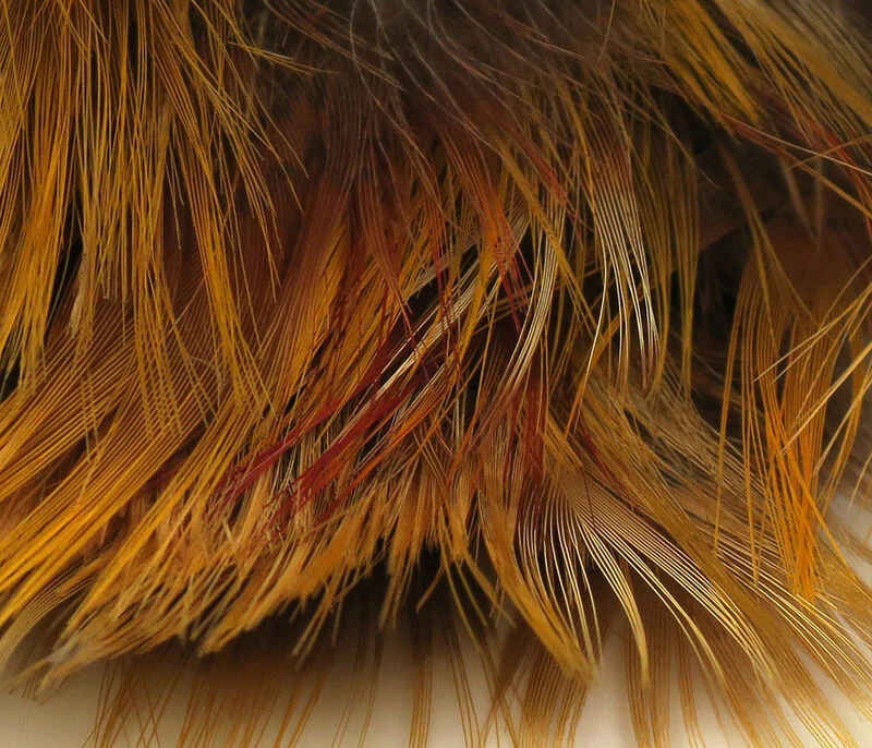 Hareline Golden Pheasant Body Feathers - Image 10