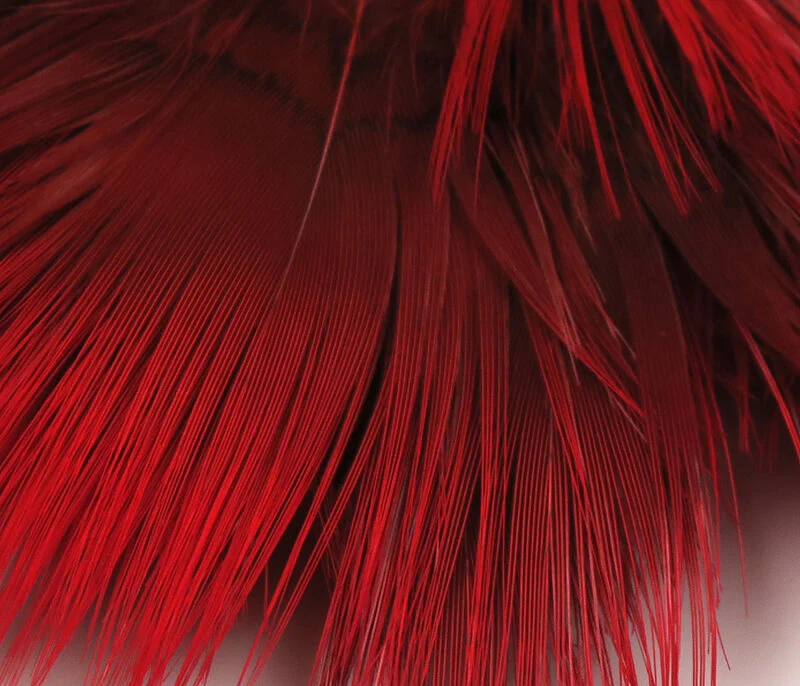Hareline Golden Pheasant Body Feathers - Image 8