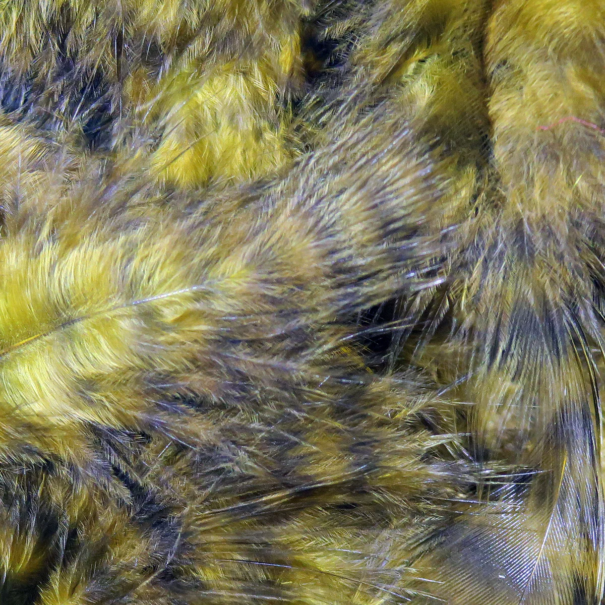 Hareline Grizzly Marabou Feathers - Image 11