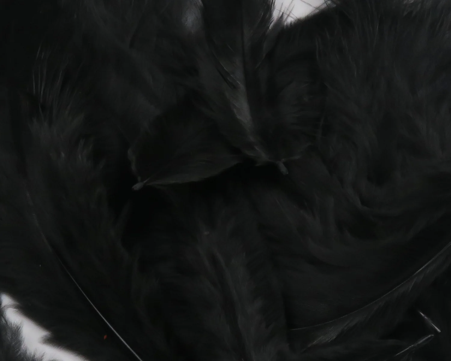 Hareline Grizzly Soft Hackle - Image 6