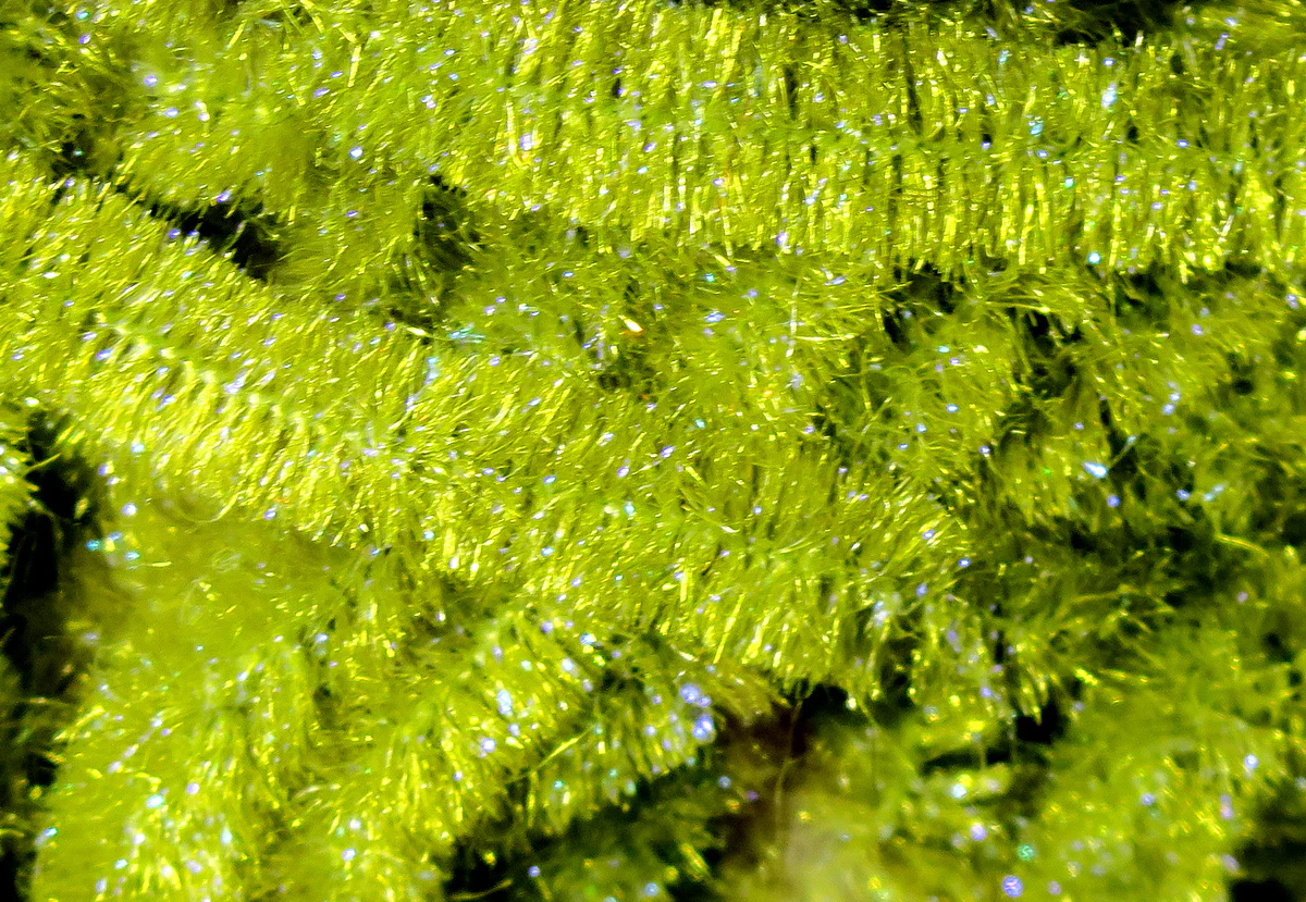 Hareline Ice Dub Chenille - Image 9