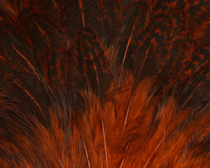 Hareline India Hen Back - Image 8