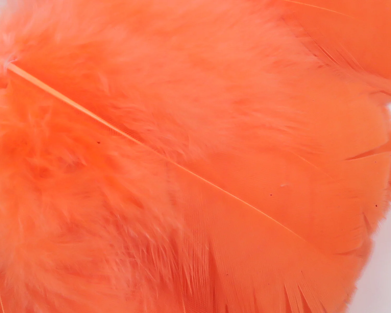 Hareline Intruder Prop Feathers - Image 19