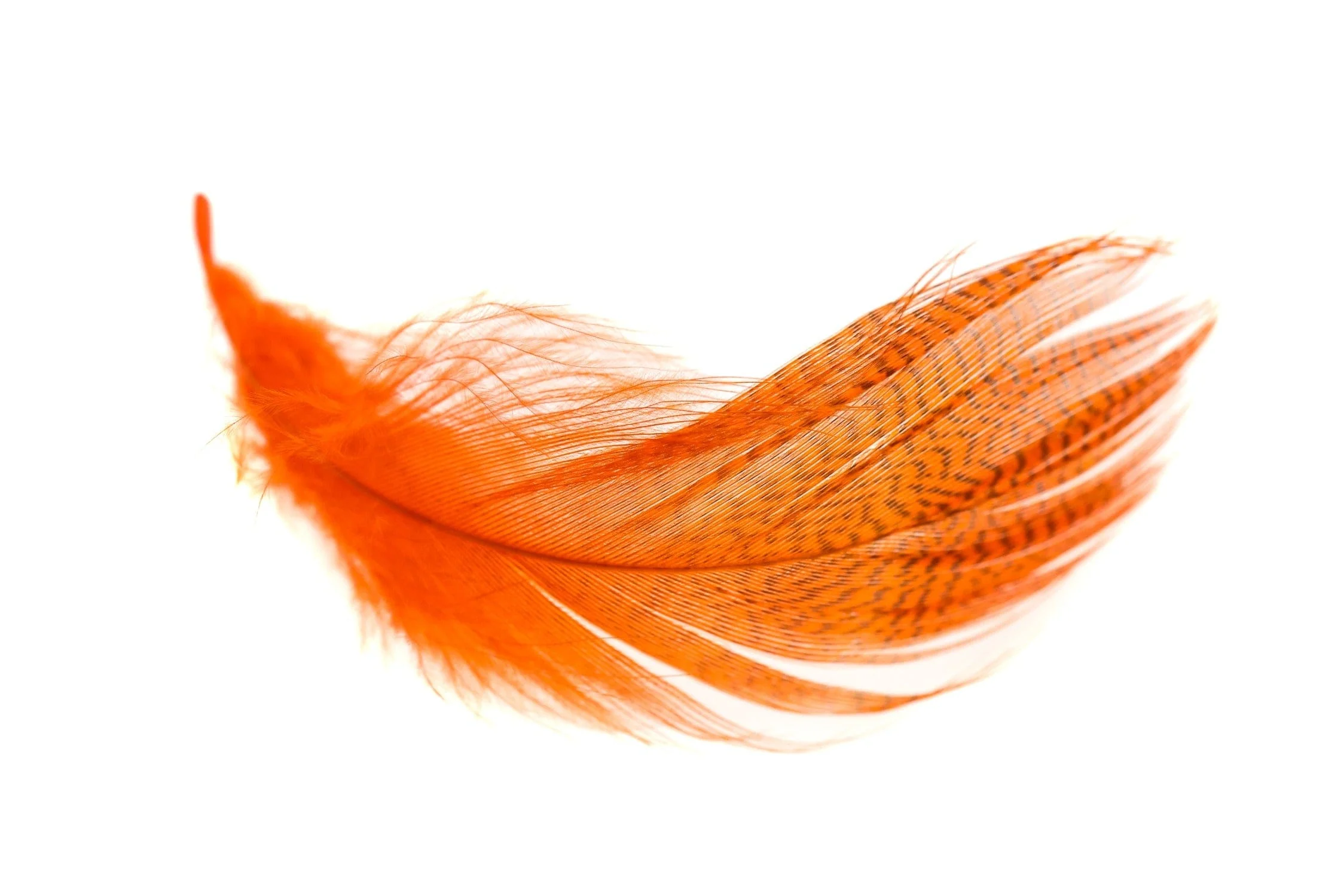 Hareline Mallard Flank Feathers - Image 4