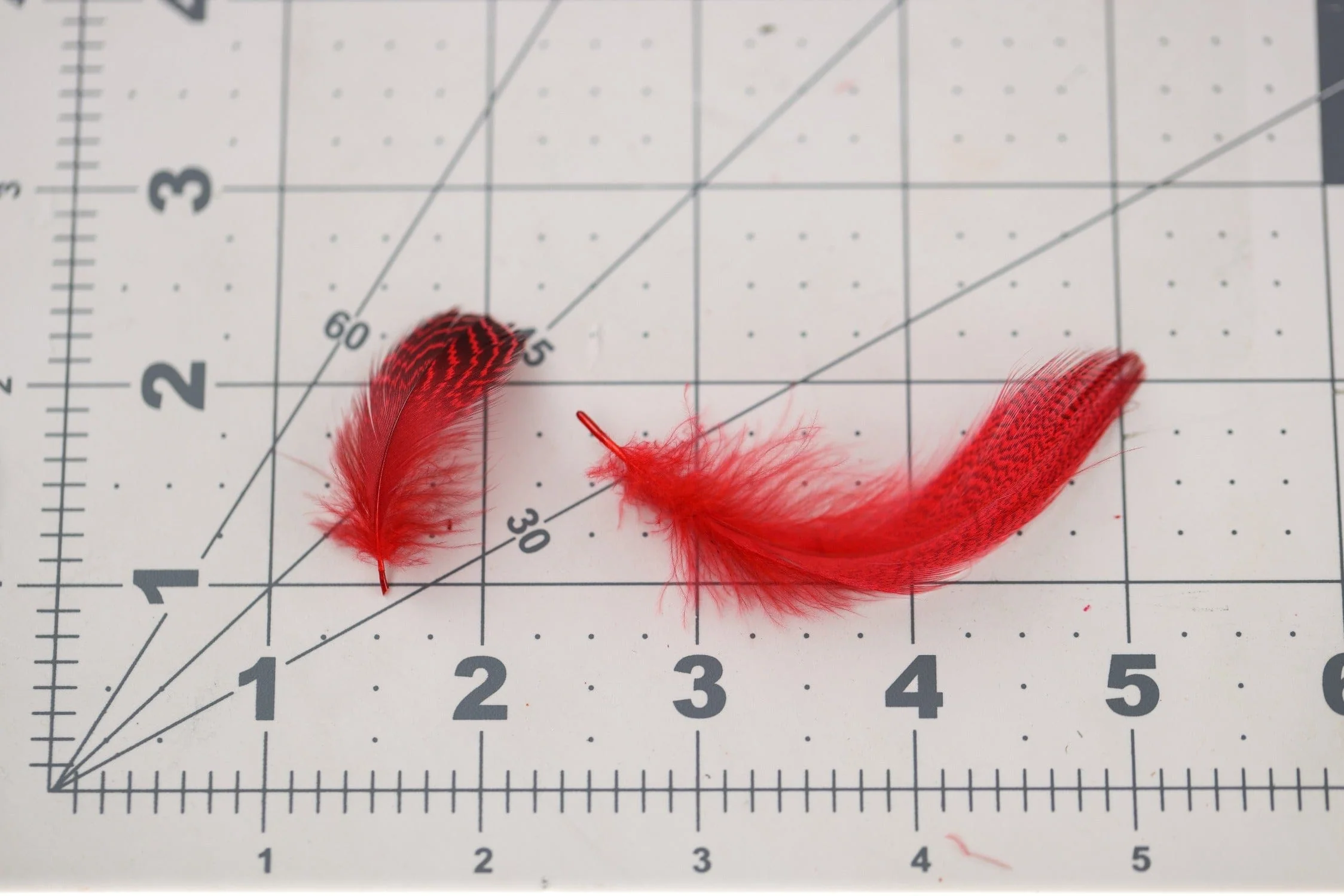 Hareline Mallard Flank Feathers - Image 6