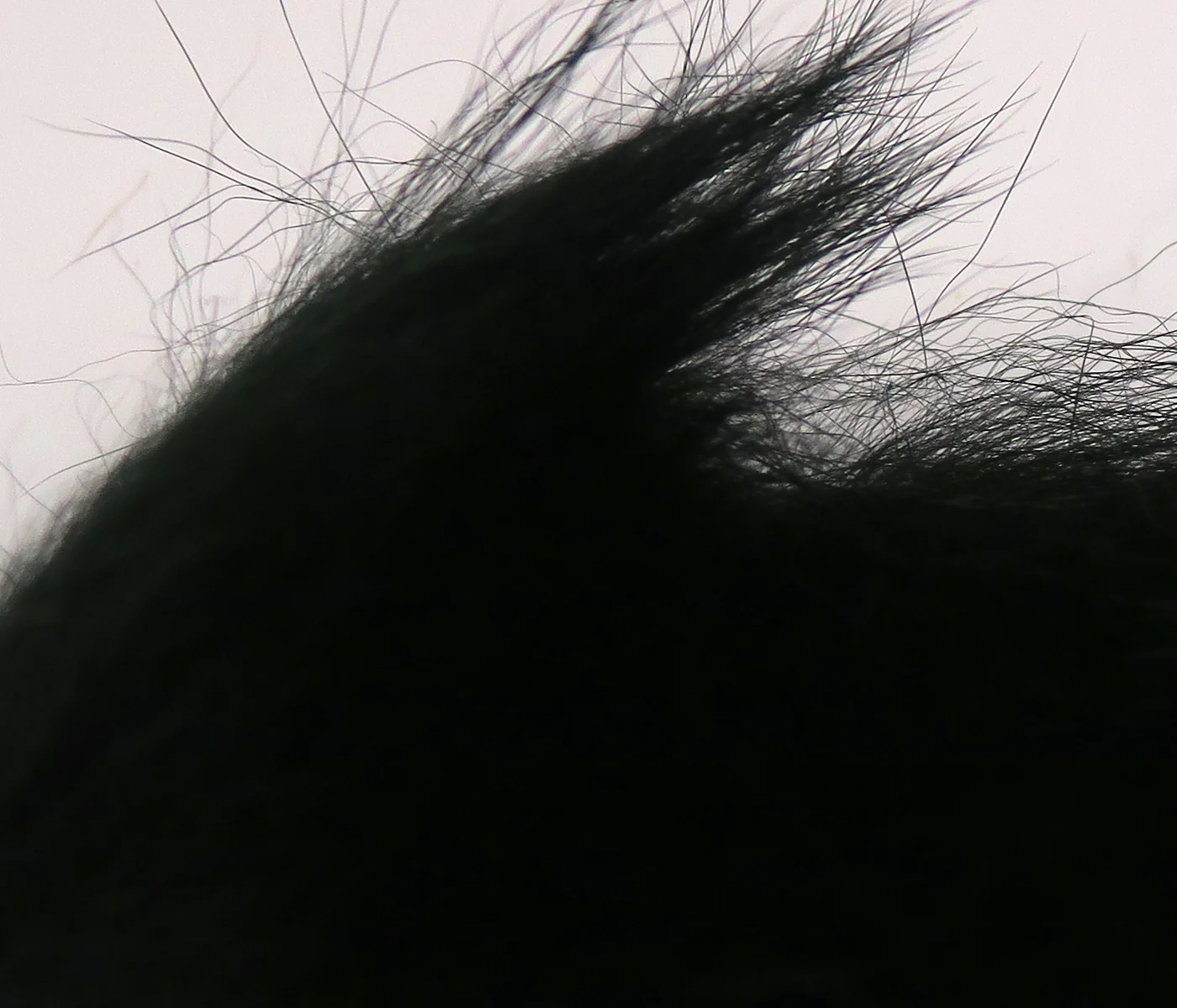 Hareline Ozzie Possum Fur - Image 10