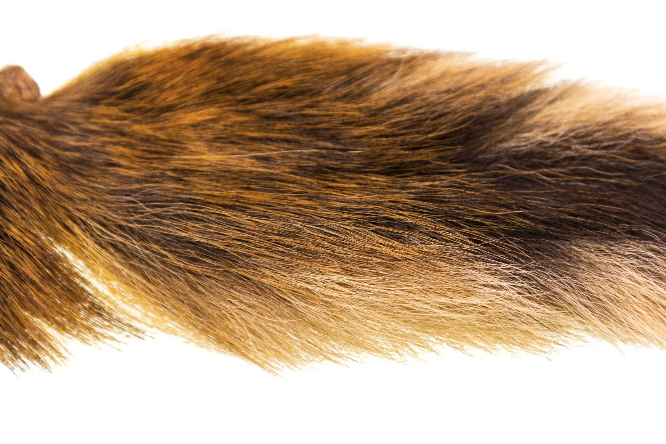 Hareline Pastel Northern Bucktail - Image 4