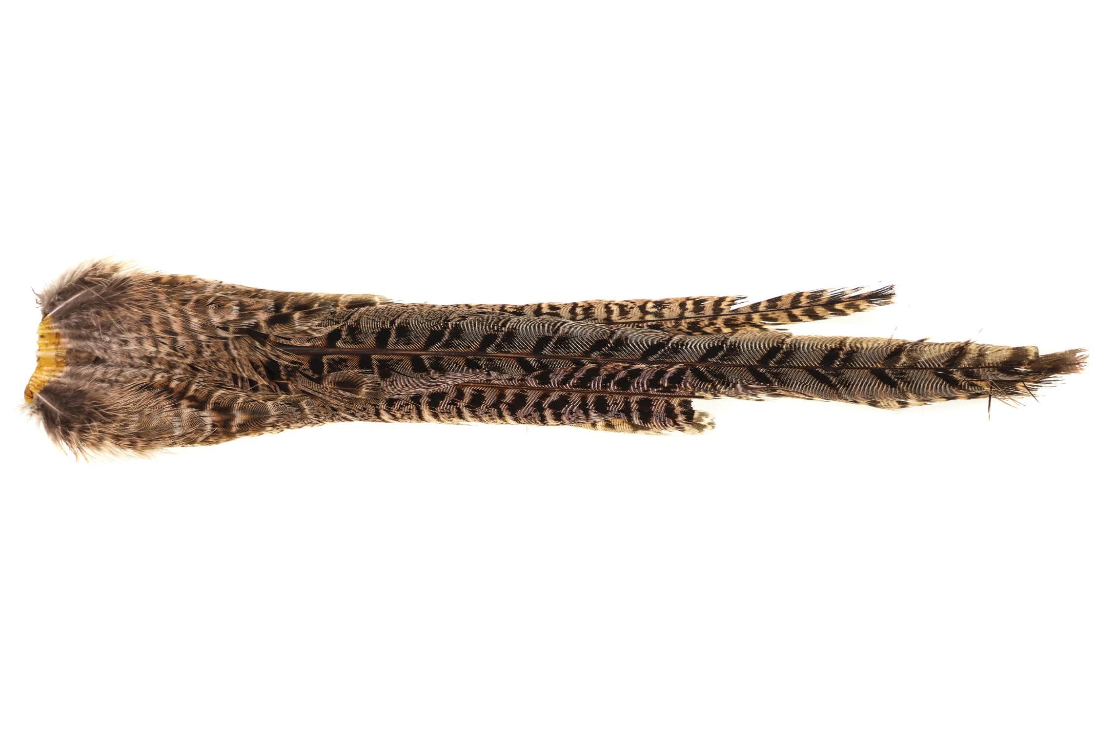 Hareline Ringneck Pheasant Complete Tail Clump - Natural - Image 2