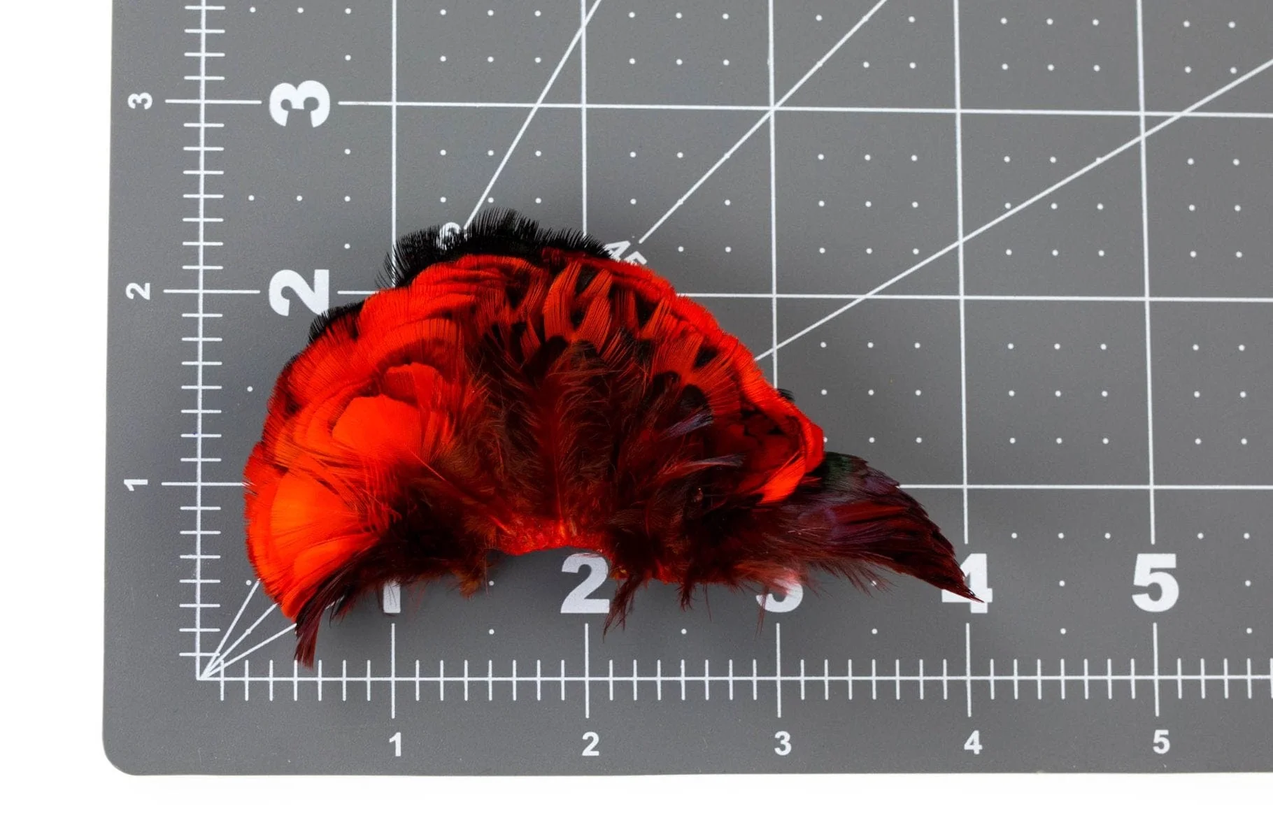 Hareline Ringneck Pheasant Neck Patch - Image 5