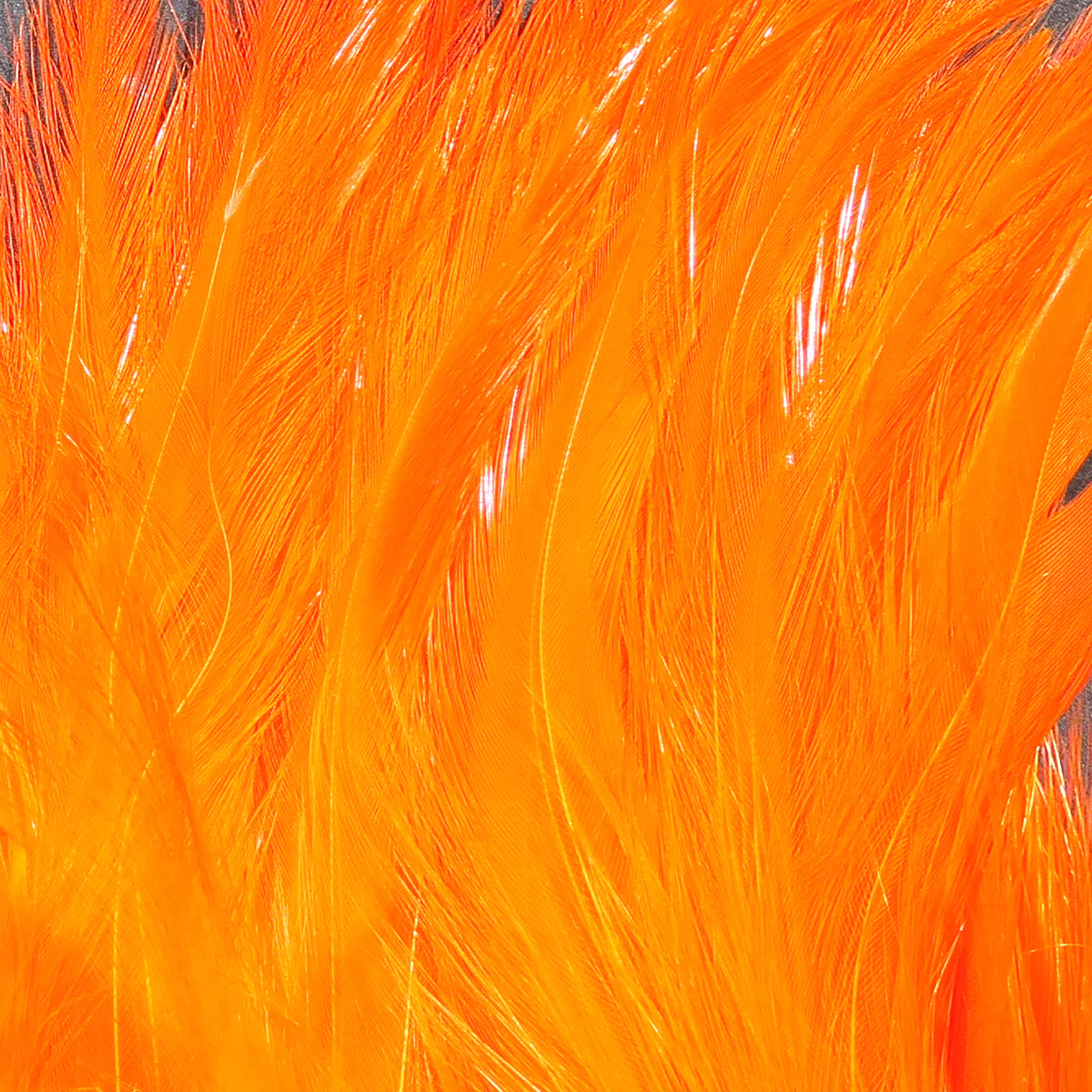 Hareline Saltwater Neck Hackle - Image 15
