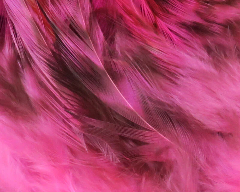 Hareline Strung Grizzly Variant Saddle Hackle - Image 14