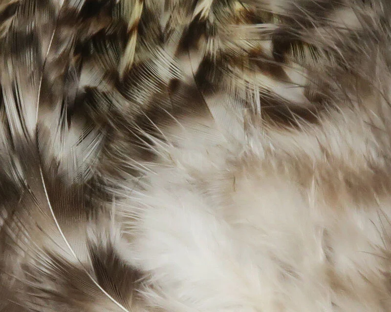 Hareline Strung Grizzly Variant Saddle Hackle - Image 15