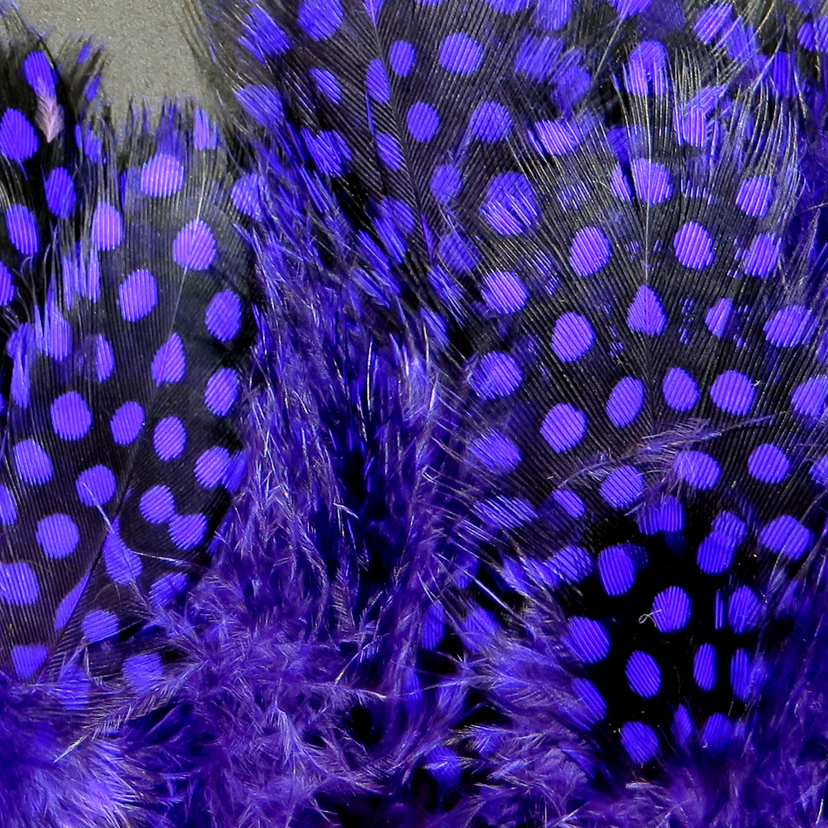 Hareline Strung Guinea Feathers - Image 14