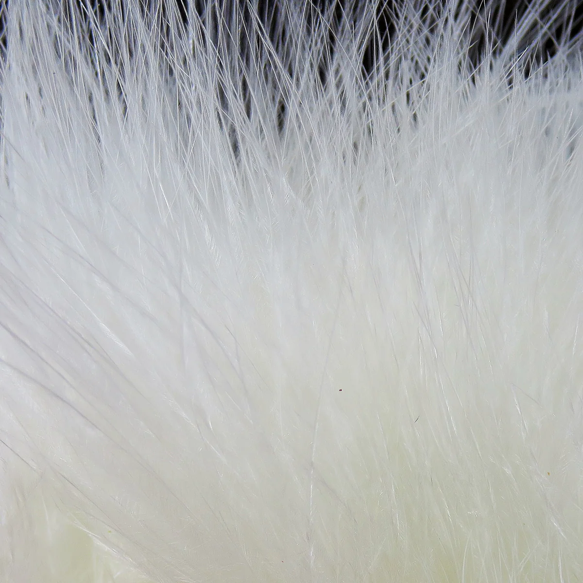 Hareline Strung Marabou Blood Quills - Image 70