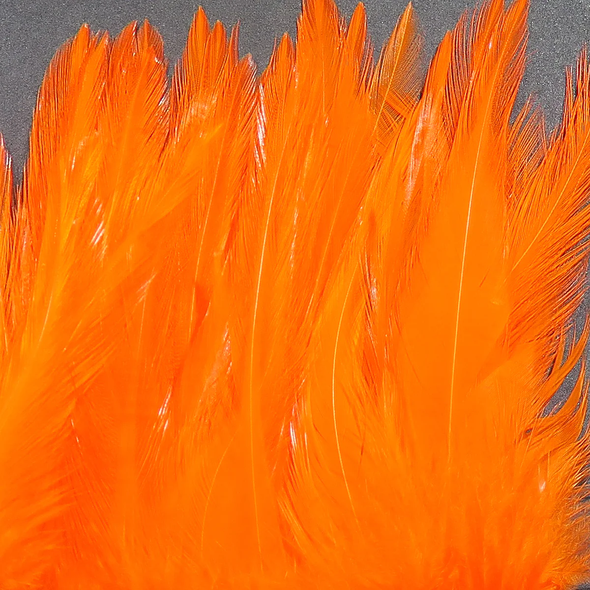 Hareline Strung Saddle Hackle - Image 15