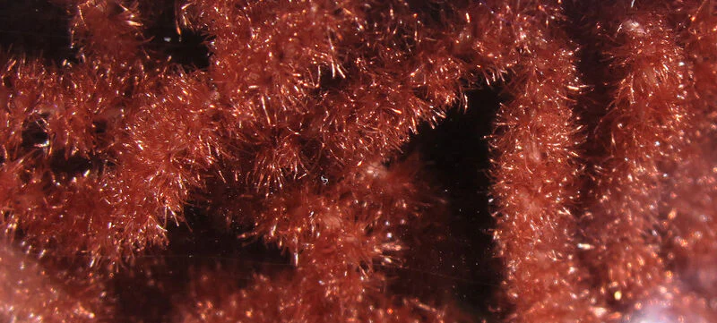 Hareline Trilobal Antron Chenille - Image 67