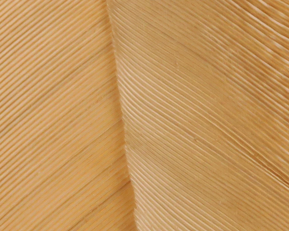 Hareline Turkey Biot Quills - Image 17