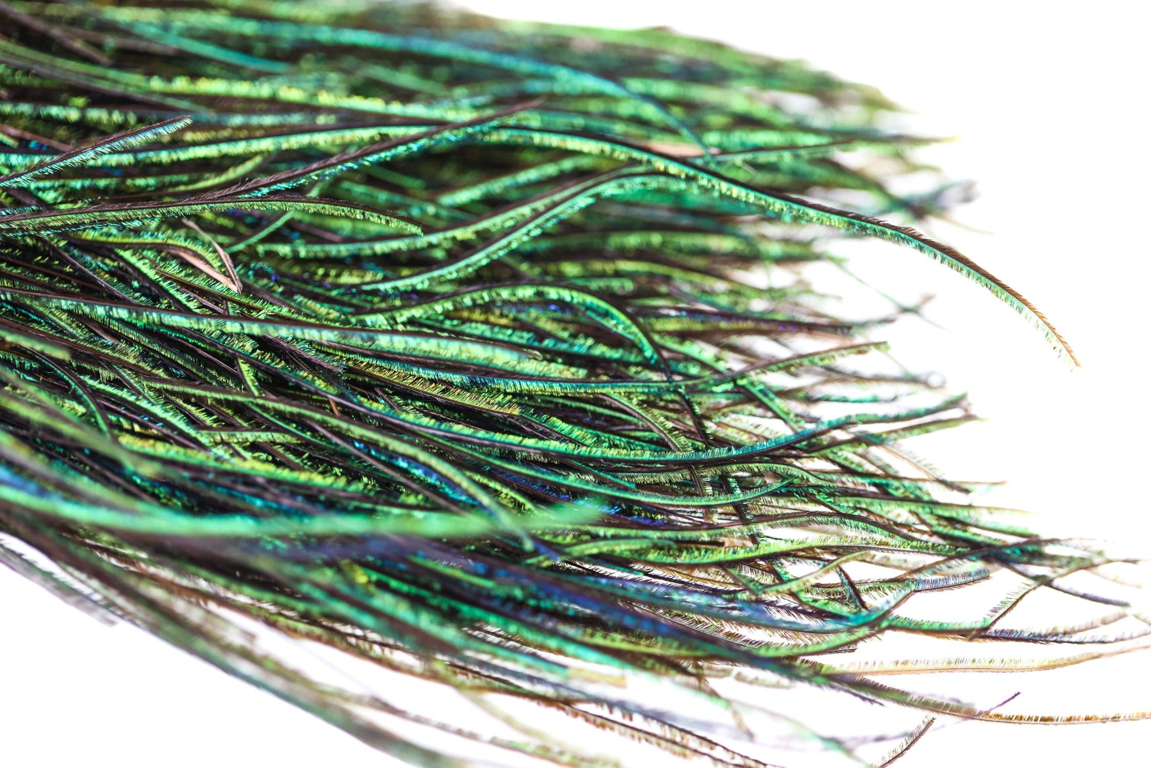 Hareline UV2 Peacock Herl - Image 4