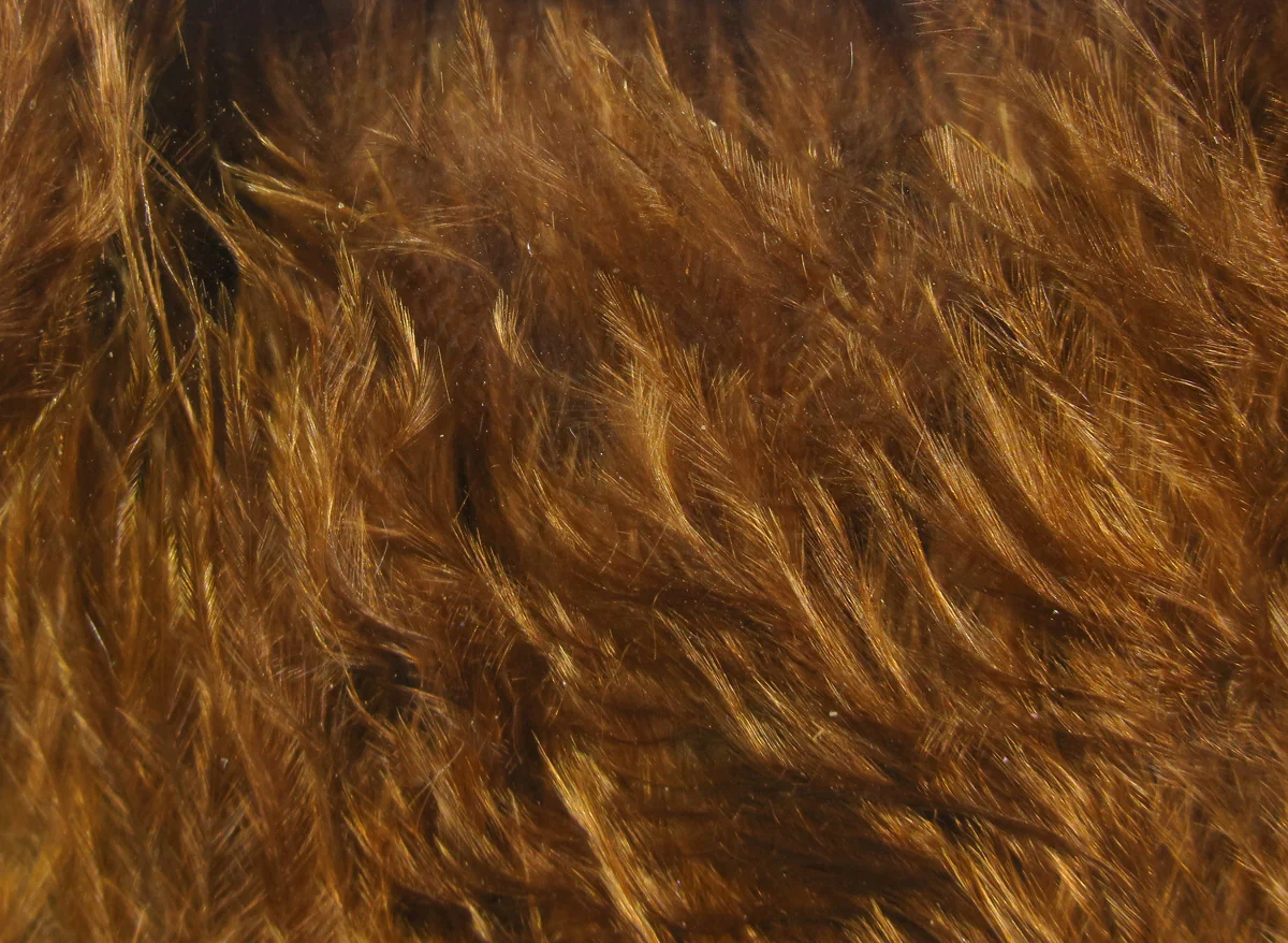 Hareline Woolly Bugger Marabou Feathers - Image 10
