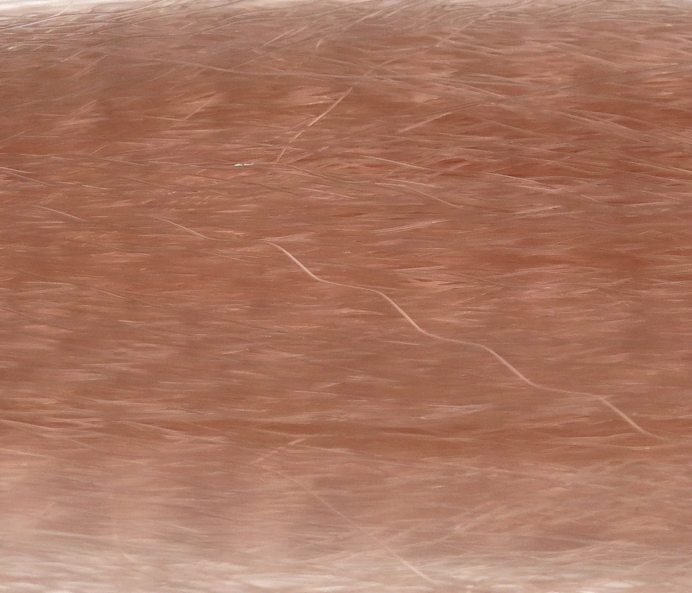 Hedron Supreme Super Hair - Image 25