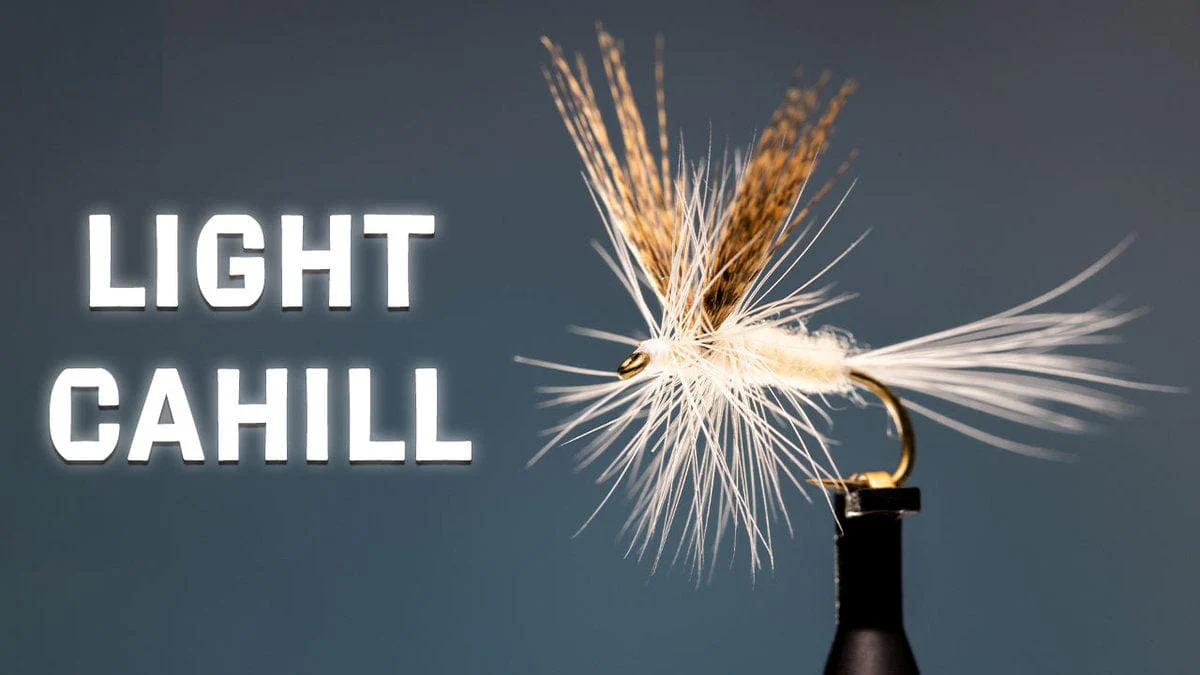 Light Cahill Fly Tying Video Material Kit