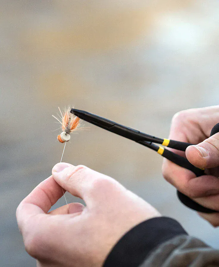 Loon Rogue Forceps - Image 3