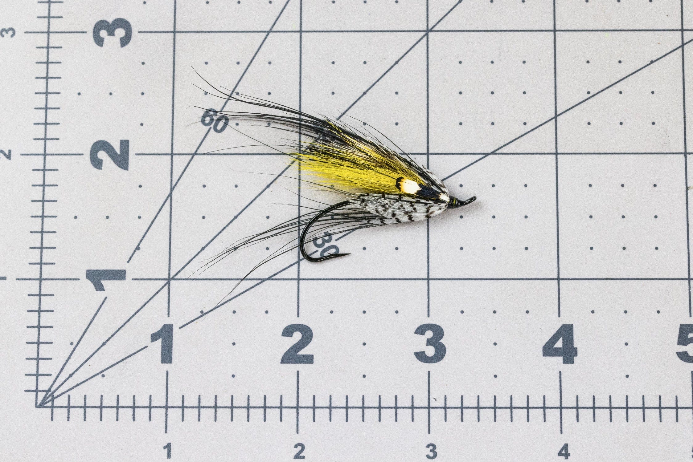 Picasse Fly - Image 3