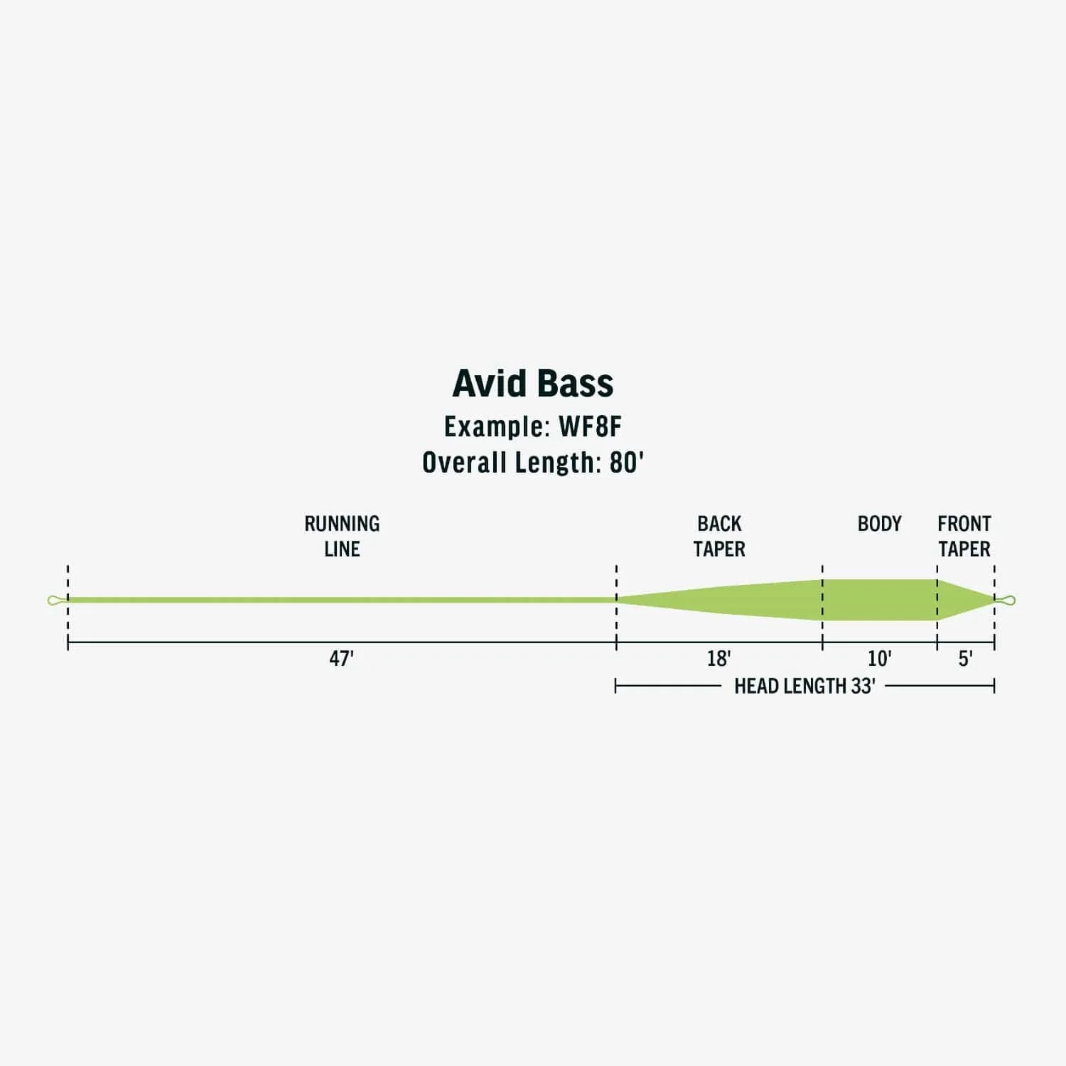 Rio Avid Bass Fly Line - Image 4