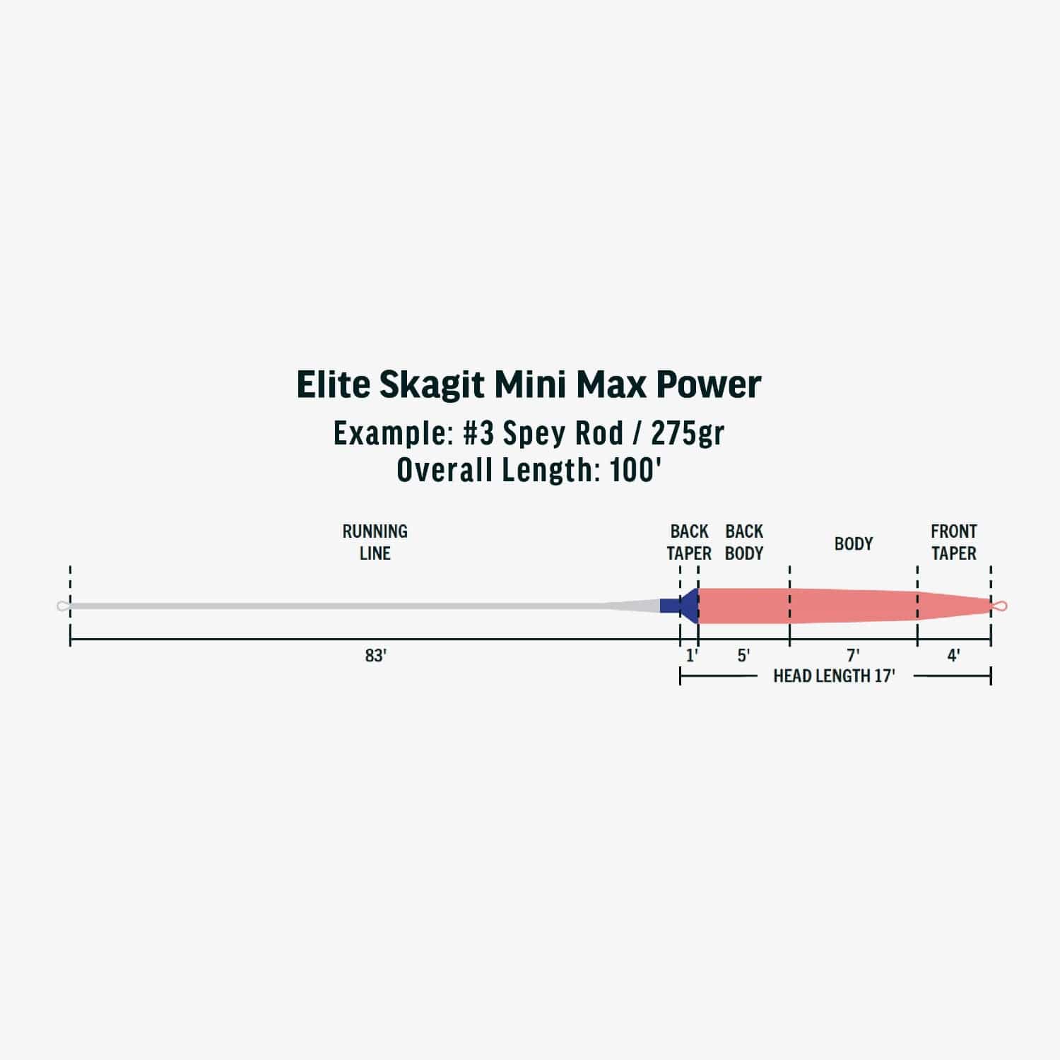 Rio Elite Integrated Skagit Mini MaxPower Fly Line - Image 3