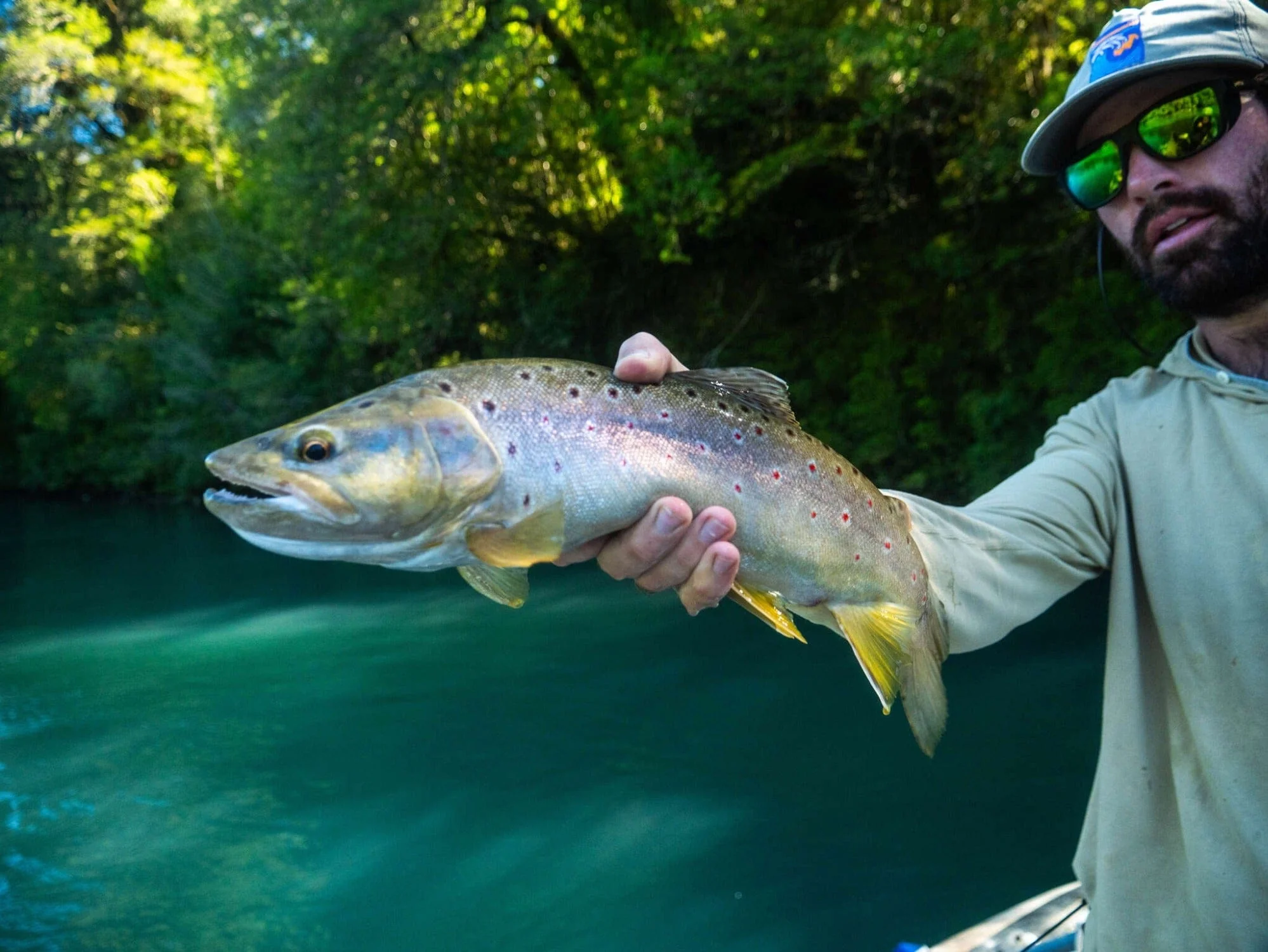 Rio Palena Lodge - Image 15