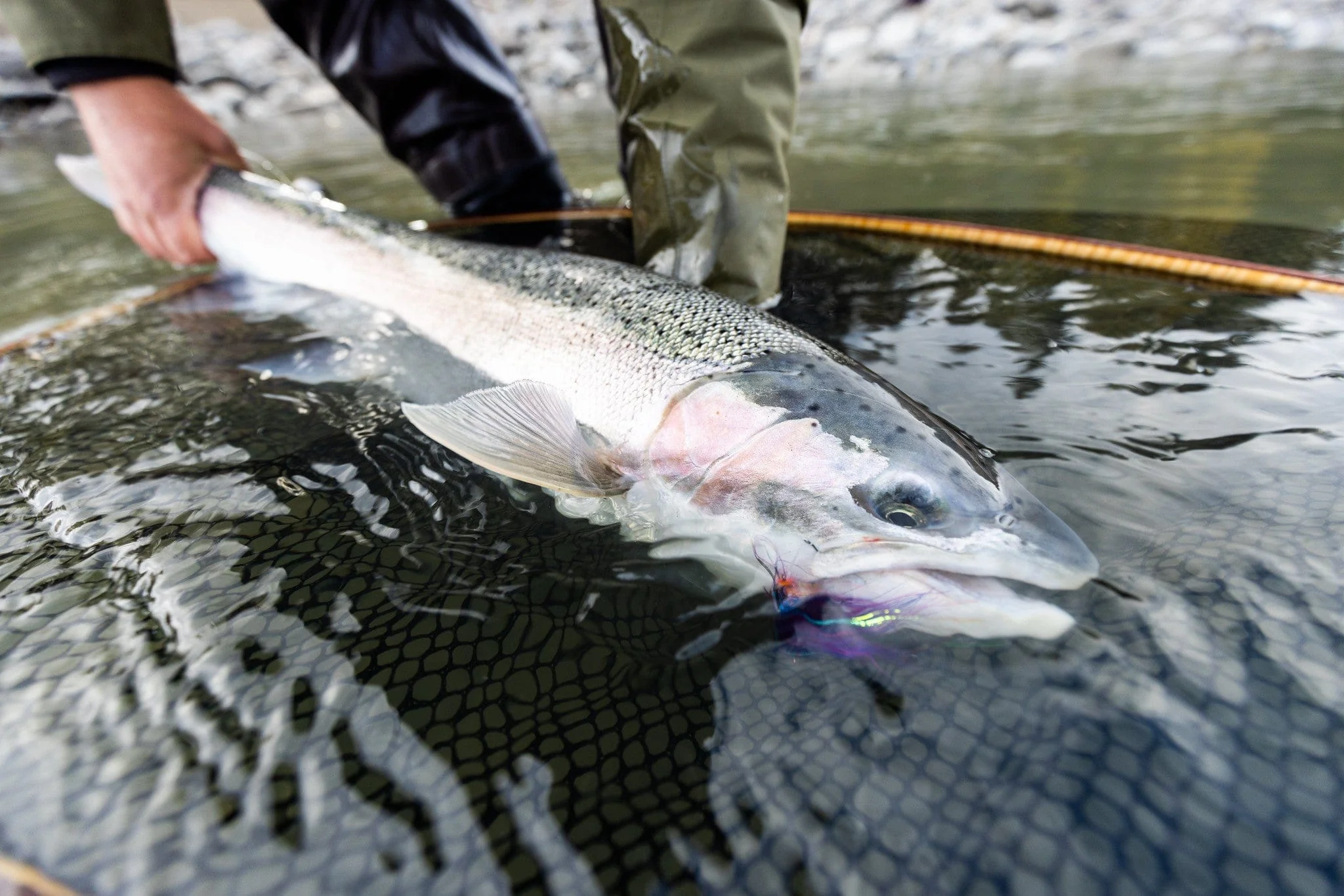 Skeena River Lodge - Nass Basecamp - Image 4