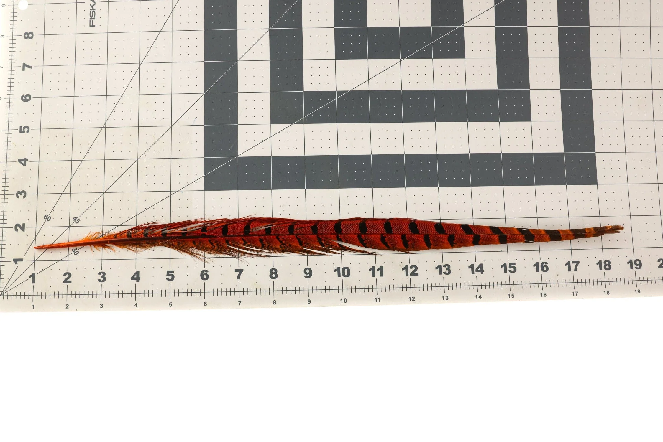 Spirit River UV2 Ringneck Pheasant Tail - Image 5