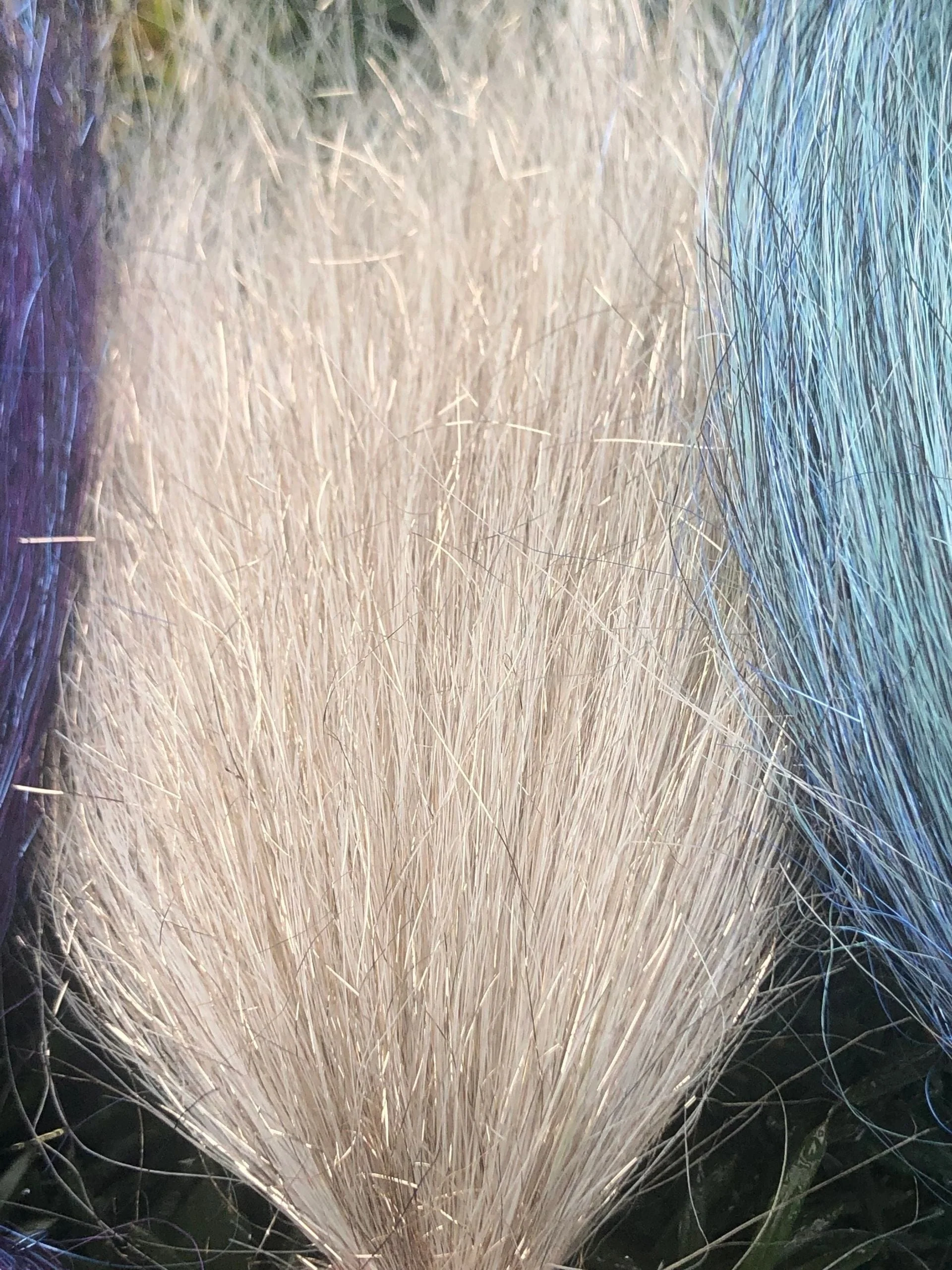 Squimpish Boutique Sparkle Blend - Image 30