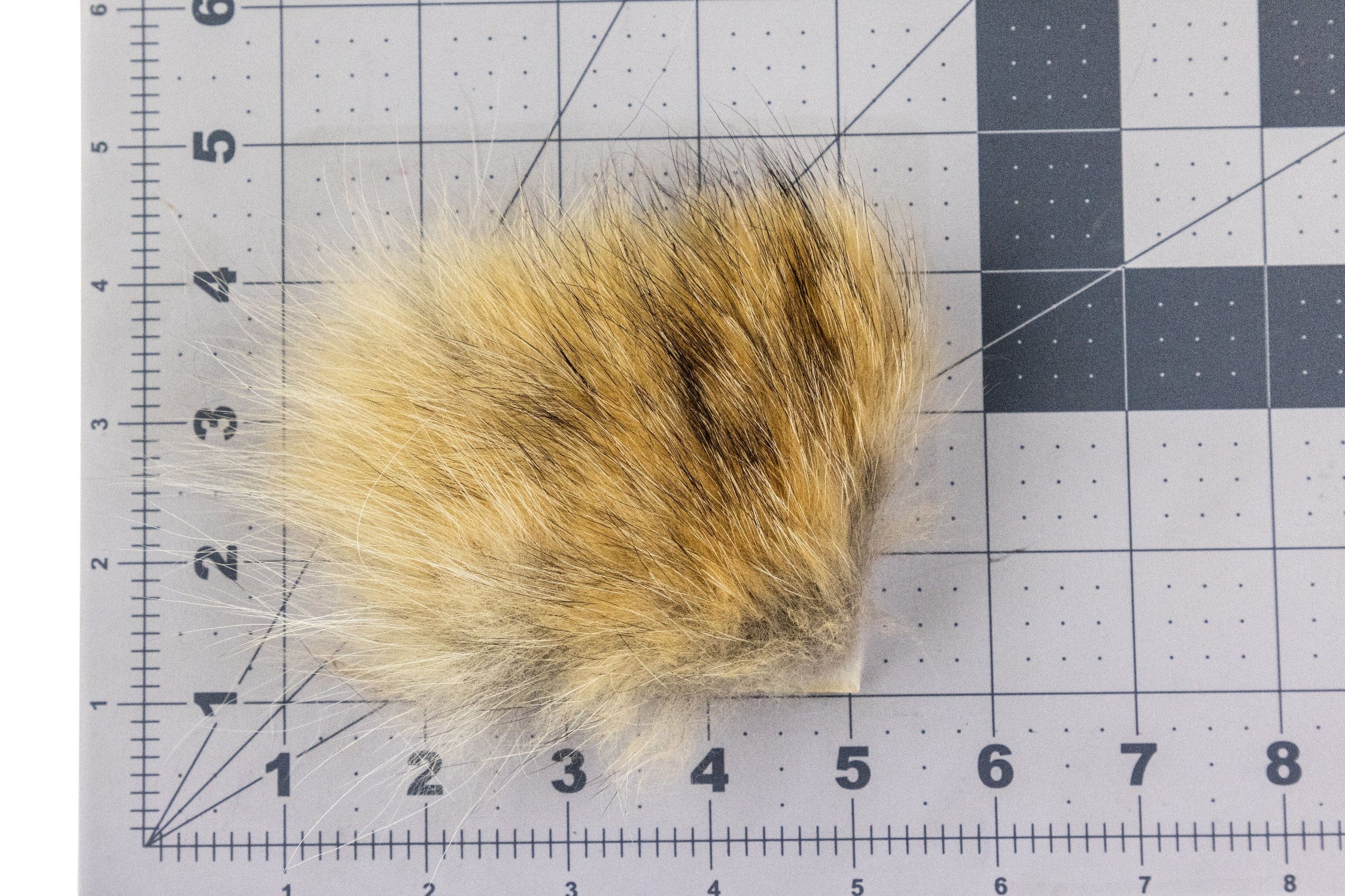Wapsi Coyote Fur - Image 4