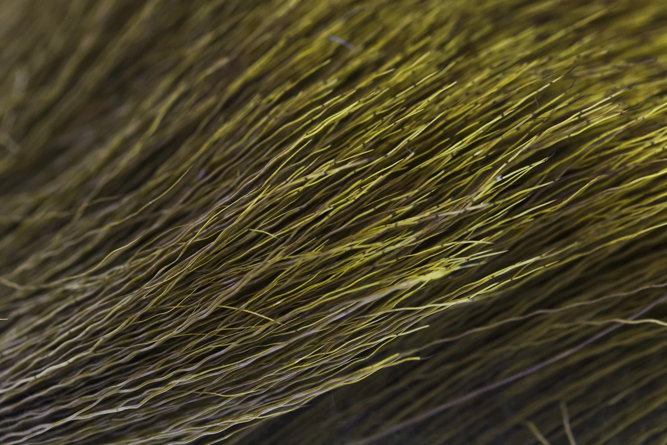 Wapsi Elk Body Hair - Image 12